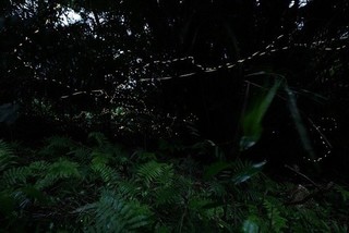 S20190512.jpg