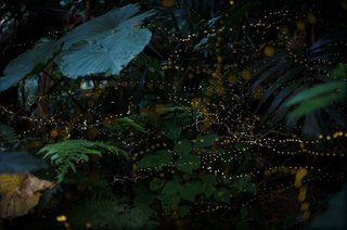 S20190514 (2).jpg
