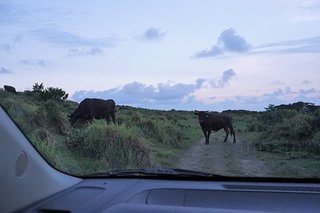 SDSC03749 (2).jpg