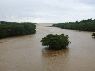 SP1130290.jpg