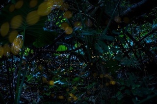 20190526a.jpg