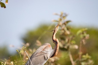 IMG_0112.jpg