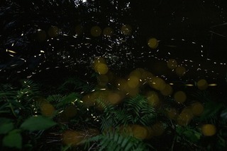 S20190311 - コピー.jpg