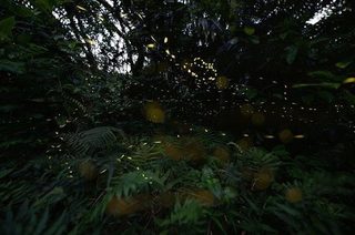 S20190316 - コピー.jpg