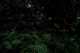 S20190319.jpg