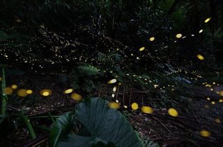 S20190330 - コピー.jpg