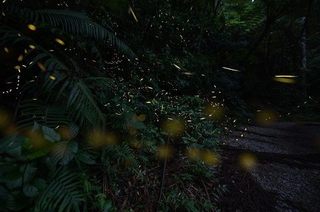 S20190331 - コピー.jpg