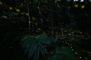 S20190417.jpg
