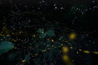 S20190420 - コピー.jpg