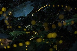 S20190529b.jpg