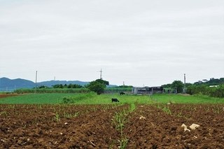 SDSC00011-1.jpg