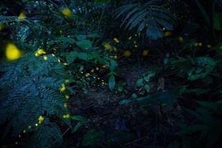 SDSC00012 (2).jpg