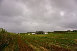 SDSC00015.jpg
