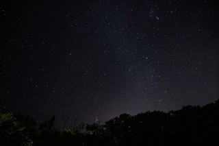 SIMG_0030.jpg