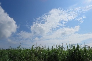 SIMG_0390.jpg