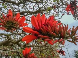 SIMG_20190318_164006.jpg