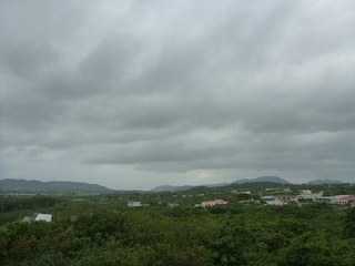 SP1120995.jpg
