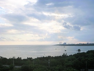 SP1130399.jpg