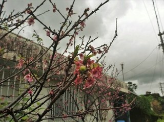 SP1130577 (2).jpg