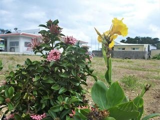 SP1160804 (2).jpg