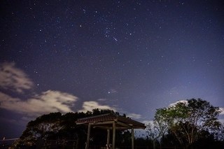 Shosi (1).jpg
