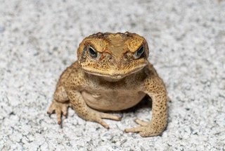 Snd255a - コピー.jpg