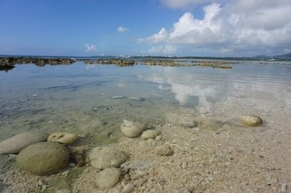 Ssuna (2).jpg