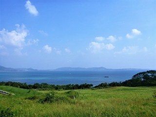 Syasumi (1).jpg