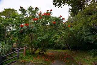 kaenboku (1).jpg