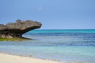 misago (2).jpg